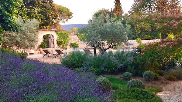 domaine martin beauty
